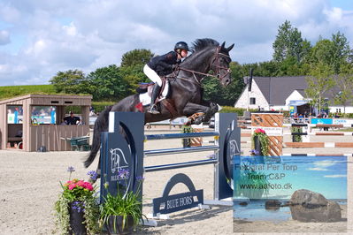 Flemming René Vinduespolering MA2 Springning Heste (140 cm) A
Keywords: dm;pt;nadia  siesbye suhr;kloevergaards dirty dancer