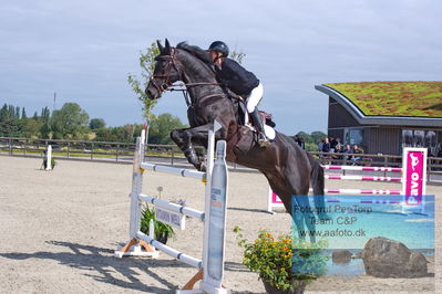 Flemming René Vinduespolering MA2 Springning Heste (140 cm) A
Keywords: dm;pt;nadia  siesbye suhr;kloevergaards dirty dancer