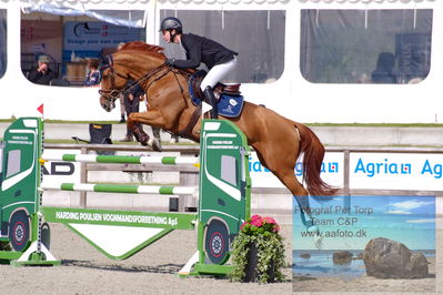 Flemming René Vinduespolering MA2 Springning Heste (140 cm) A
Keywords: dm;pt;theodor wildfang just linde;dancing queen