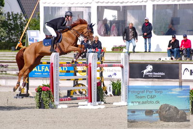 Flemming René Vinduespolering MA2 Springning Heste (140 cm) A
Keywords: dm;pt;theodor wildfang just linde;dancing queen