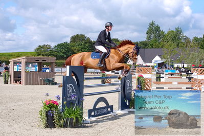 Flemming René Vinduespolering MA2 Springning Heste (140 cm) A
Keywords: dm;pt;theodor wildfang just linde;dancing queen