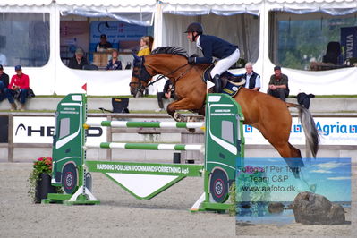 Flemming René Vinduespolering MA2 Springning Heste (140 cm) A
Keywords: dm;pt;benjamin saurugg;ally alfarvad z