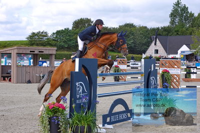 Flemming René Vinduespolering MA2 Springning Heste (140 cm) A
Keywords: dm;pt;benjamin saurugg;ally alfarvad z