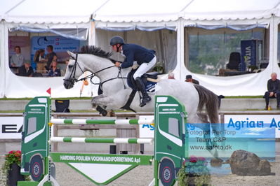 Flemming René Vinduespolering MA2 Springning Heste (140 cm) A
Keywords: dm;pt;torben frandsen;zapitol s z