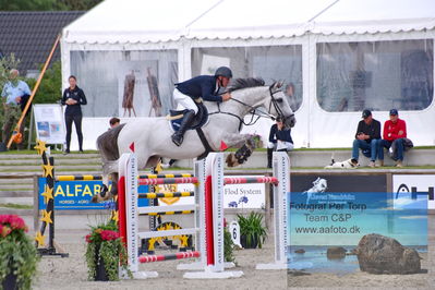 Flemming René Vinduespolering MA2 Springning Heste (140 cm) A
Keywords: dm;pt;torben frandsen;zapitol s z