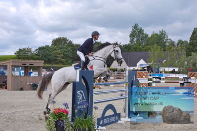 Flemming René Vinduespolering MA2 Springning Heste (140 cm) A
Keywords: dm;pt;torben frandsen;zapitol s z