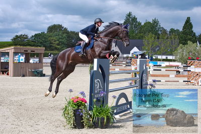 Flemming René Vinduespolering MA2 Springning Heste (140 cm) A
Keywords: dm;pt;iben ulvsbjerg toft;ullerupscarlos