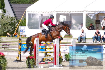 Flemming René Vinduespolering MA2 Springning Heste (140 cm) A
Keywords: dm;pt;anja t hansen;skovhoejs snippifly