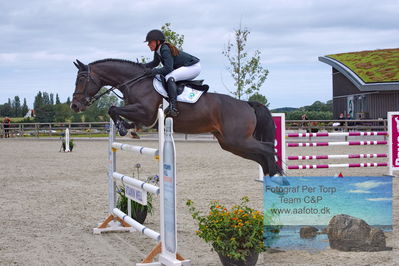 Flemming René Vinduespolering MA2 Springning Heste (140 cm) A
Keywords: dm;pt;karen moeller rohde;cassado ask