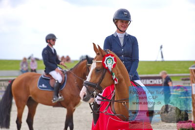 Flemming René Vinduespolering MA2 Springning Heste (140 cm) A
Keywords: dm;pt;kirstin skjoldhoej;heart of gold;lap of honour