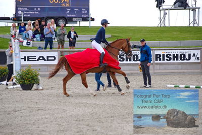 Flemming René Vinduespolering MA2 Springning Heste (140 cm) A
Keywords: dm;pt;kirstin skjoldhoej;heart of gold;lap of honour