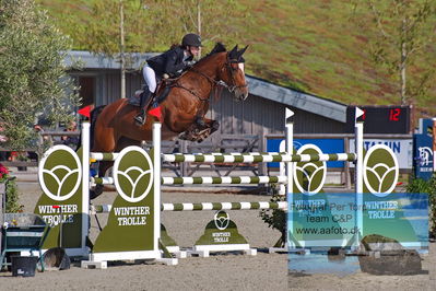 1. Kval. Agria DRF mesterskab U18 præsenteret af Vindeløv Byg - MA2 Springning Heste (140 cm)
Keywords: dm;pt;rosemarie heering;zinett ln