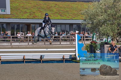 1. Kval. Agria DRF mesterskab U18 præsenteret af Vindeløv Byg - MA2 Springning Heste (140 cm)
Keywords: caba brons;dm;laura thomey;pt;styrt