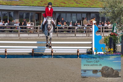 1. Kval. Agria DRF mesterskab U18 præsenteret af Vindeløv Byg - MA2 Springning Heste (140 cm)
Keywords: cougar 14;dm;pt;sofie poerksen conradsen