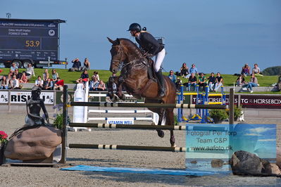 1. Kval. Agria DRF mesterskab U18 præsenteret af Vindeløv Byg - MA2 Springning Heste (140 cm)
Keywords: dm;pt;ditte wulff moeller;forrest dwb