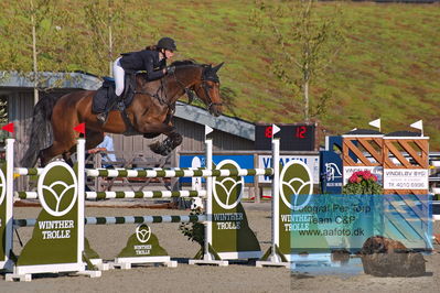 1. Kval. Agria DRF mesterskab U18 præsenteret af Vindeløv Byg - MA2 Springning Heste (140 cm)
Keywords: dm;pt;rosemarie heering;ambition gold