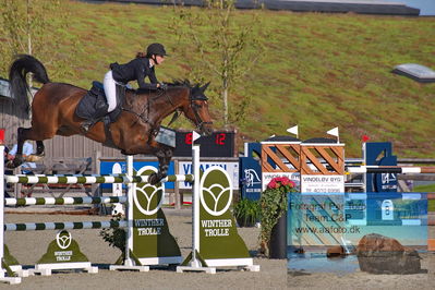 1. Kval. Agria DRF mesterskab U18 præsenteret af Vindeløv Byg - MA2 Springning Heste (140 cm)
Keywords: dm;pt;rosemarie heering;ambition gold