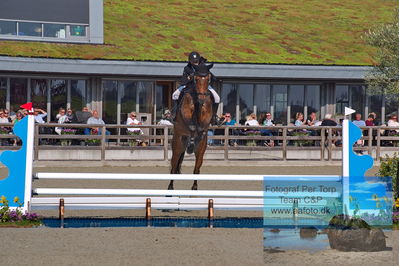1. Kval. Agria DRF mesterskab U18 præsenteret af Vindeløv Byg - MA2 Springning Heste (140 cm)
Keywords: dm;pt;rosemarie heering;ambition gold