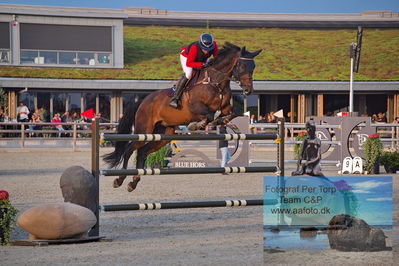 1. Kval. Stutteri Ask Danmarks Mesterskab for senior - S3 Springning Heste (150 cm)
Keywords: dm;pt;rikke haastrup kristensen;engerupgaards cashatt