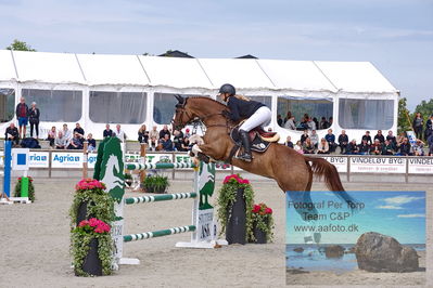 2. Kval. og Finale af Agria DRF Mesterskab U21 præsenteret af TG Horseboxes - S1 Springning Heste
Keywords: dm;pt;victoria sophia hjorth-madsen;catwalk v