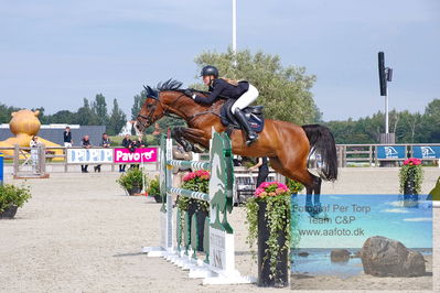 2. Kval. og Finale af Agria DRF Mesterskab U21 præsenteret af TG Horseboxes - S1 Springning Heste
Keywords: dm;pt;line busk heltborg;gaville
