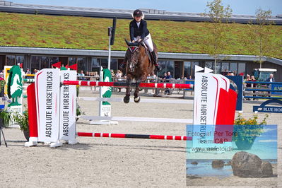 2. Kval. og Finale af Stutteri Ask Danmarks Mesterskab for senior S3
Keywords: dm;pt;jessica toelstang;sp camoral