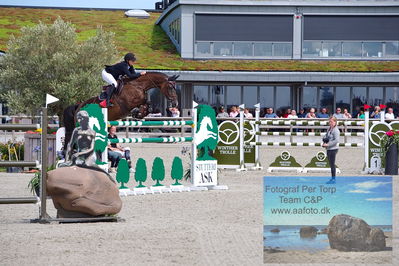 2. Kval. og Finale af Stutteri Ask Danmarks Mesterskab for senior S3
Keywords: dm;pt;jessica toelstang;sp camoral