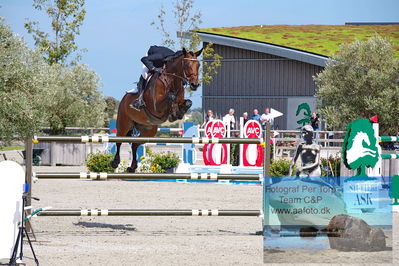 2. Kval. og Finale af Stutteri Ask Danmarks Mesterskab for senior S3
Keywords: dm;pt;christian jansen;stenvangs daiquiri