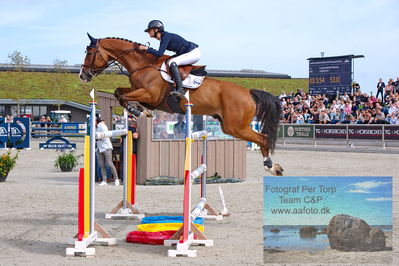 2. Kval. og Finale af Stutteri Ask Danmarks Mesterskab for senior S3
Keywords: dm;pt;caroline refhoff pedersen;calvin 115