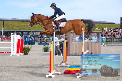2. Kval. og Finale af Stutteri Ask Danmarks Mesterskab for senior S3
Keywords: dm;pt;caroline refhoff pedersen;calvin 115