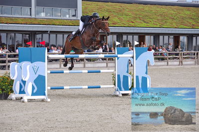 2. Kval. og Finale af Stutteri Ask Danmarks Mesterskab for senior S3
Keywords: dm;pt;christian jansen;stenvangs daiquiri