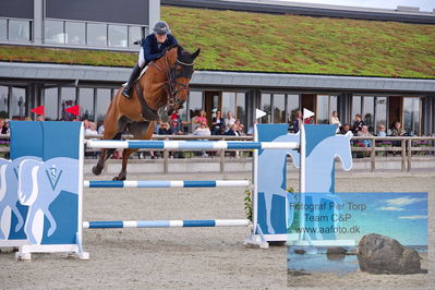 2. Kval. og Finale af Stutteri Ask Danmarks Mesterskab for senior S3
Keywords: dm;pt;rikke andersen;chaccosini