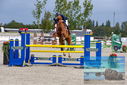 Filename=PT9_7033.JPG
Filesize=498KiB
Dimensions=1224x817
Date added=Aug 10, 2023 PT9_7033.JPG