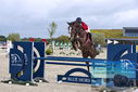 Filename=PT9_7043.JPG
Filesize=377KiB
Dimensions=1224x817
Date added=Aug 10, 2023 PT9_7043.JPG