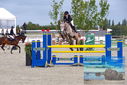 Filename=PT9_7054.JPG
Filesize=483KiB
Dimensions=1224x817
Date added=Aug 10, 2023 PT9_7054.JPG