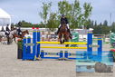 Filename=PT9_7062.JPG
Filesize=480KiB
Dimensions=1224x817
Date added=Aug 10, 2023 PT9_7062.JPG