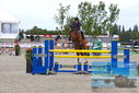 Filename=PT9_7337.JPG
Filesize=469KiB
Dimensions=1224x817
Date added=Aug 10, 2023 PT9_7337.JPG