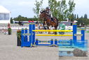 Filename=PT9_7428.JPG
Filesize=466KiB
Dimensions=1224x817
Date added=Aug 10, 2023 PT9_7428.JPG