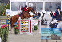 Filename=PT9_8011.JPG
Filesize=407KiB
Dimensions=1224x817
Date added=Aug 11, 2023 PT9_8011.JPG