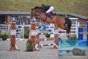 Filename=PT9_8449.JPG
Filesize=438KiB
Dimensions=1224x817
Date added=Aug 11, 2023 PT9_8449.JPG