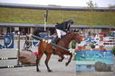 Filename=PT9_8462.JPG
Filesize=447KiB
Dimensions=1224x817
Date added=Aug 11, 2023 PT9_8462.JPG