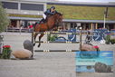 Filename=PT9_8473.JPG
Filesize=474KiB
Dimensions=1224x817
Date added=Aug 11, 2023 PT9_8473.JPG