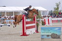 Filename=PT9_8785.JPG
Filesize=488KiB
Dimensions=1224x817
Date added=Aug 12, 2023 PT9_8785.JPG