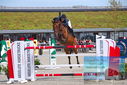 Filename=PT9_9270.JPG
Filesize=471KiB
Dimensions=1224x817
Date added=Aug 13, 2023 PT9_9270.JPG