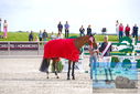 Filename=PT9_9508.JPG
Filesize=405KiB
Dimensions=1224x817
Date added=Aug 13, 2023 PT9_9508.JPG