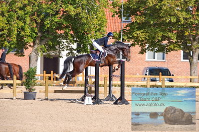 b-stævne spring
LA2 Springning Heste (120 cm) A
Keywords: pt;magdalene rose mikkelsen;cosimo il primo as