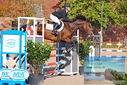 Filename=PT9_9539.JPG
Filesize=550KiB
Dimensions=1224x817
Date added=Sep 09, 2023 PT9_9539.JPG