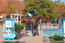 Filename=PT9_9556.JPG
Filesize=689KiB
Dimensions=1224x817
Date added=Sep 09, 2023 PT9_9556.JPG