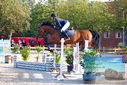 Filename=PT9_9578.JPG
Filesize=616KiB
Dimensions=1224x817
Date added=Sep 09, 2023 PT9_9578.JPG