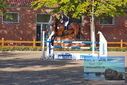 Filename=PT9_9590.JPG
Filesize=591KiB
Dimensions=1224x817
Date added=Sep 09, 2023 PT9_9590.JPG
